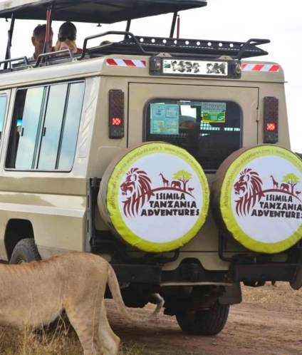 Safari Vehicle