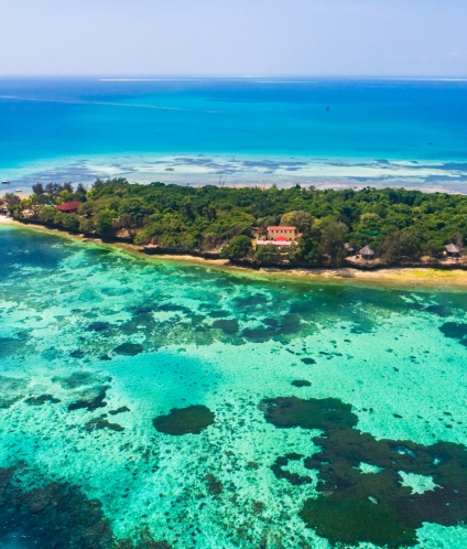 Zanzibar Safaris